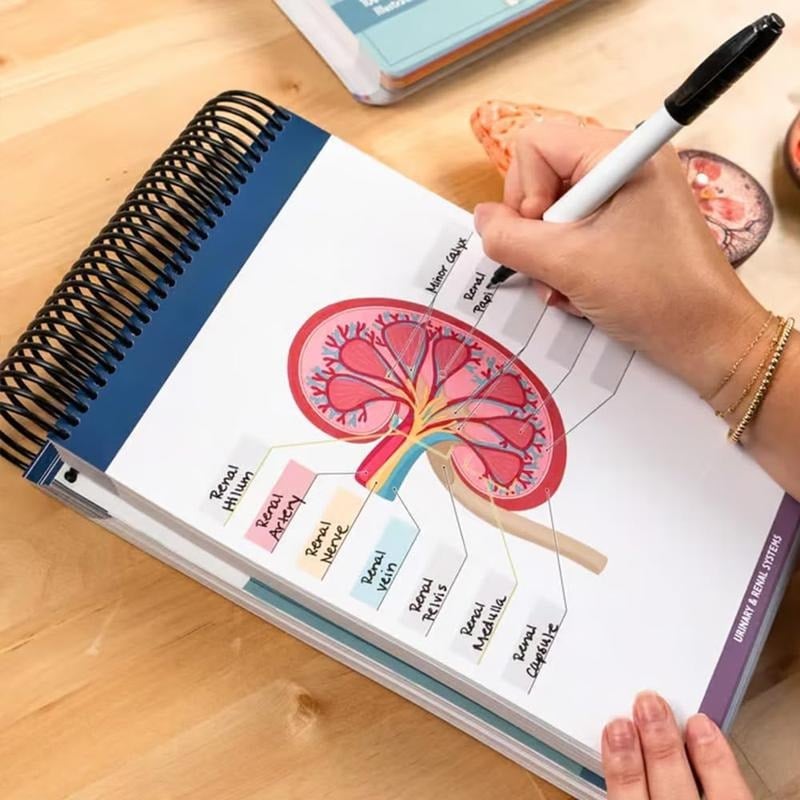 🎁Last Day 50%OFF🔥Anatomy Label Workbook
