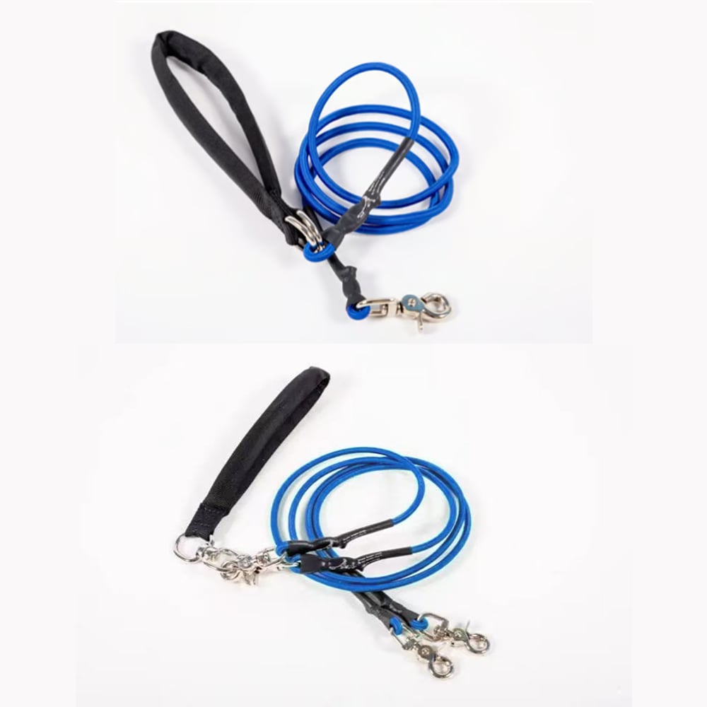 🔥🐕Double Bungee Leash - 1st step training tool