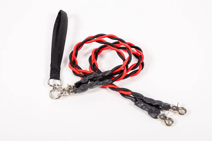 🔥🐕Double Bungee Leash - 1st step training tool