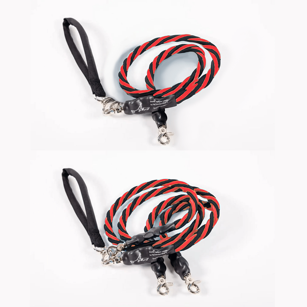 🔥🐕Double Bungee Leash - 1st step training tool
