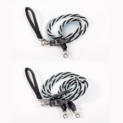 🔥🐕Double Bungee Leash - 1st step training tool