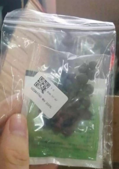 🔥🌺THE QUEEN OF FLOWERS—DOUBLE PETALED PIANI SEEDS