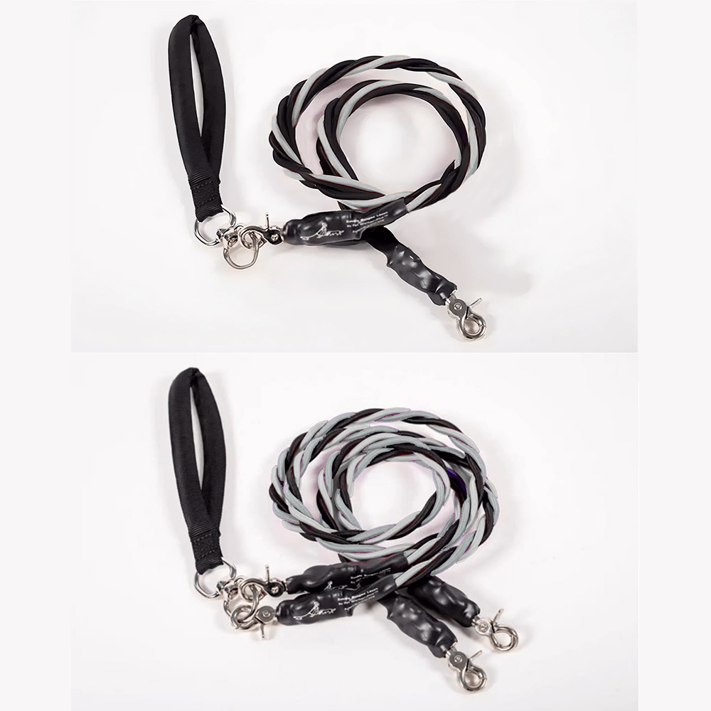 🔥🐕Double Bungee Leash - 1st step training tool