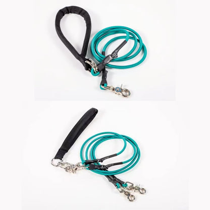 🔥🐕Double Bungee Leash - 1st step training tool