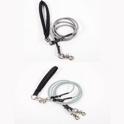 🔥🐕Double Bungee Leash - 1st step training tool