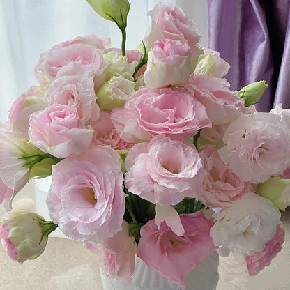 🔥🌺Low-maintenance Eustoma Flower Seeds🌈