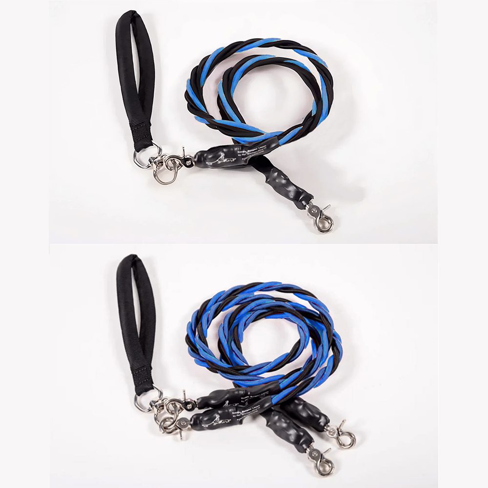 🔥🐕Double Bungee Leash - 1st step training tool