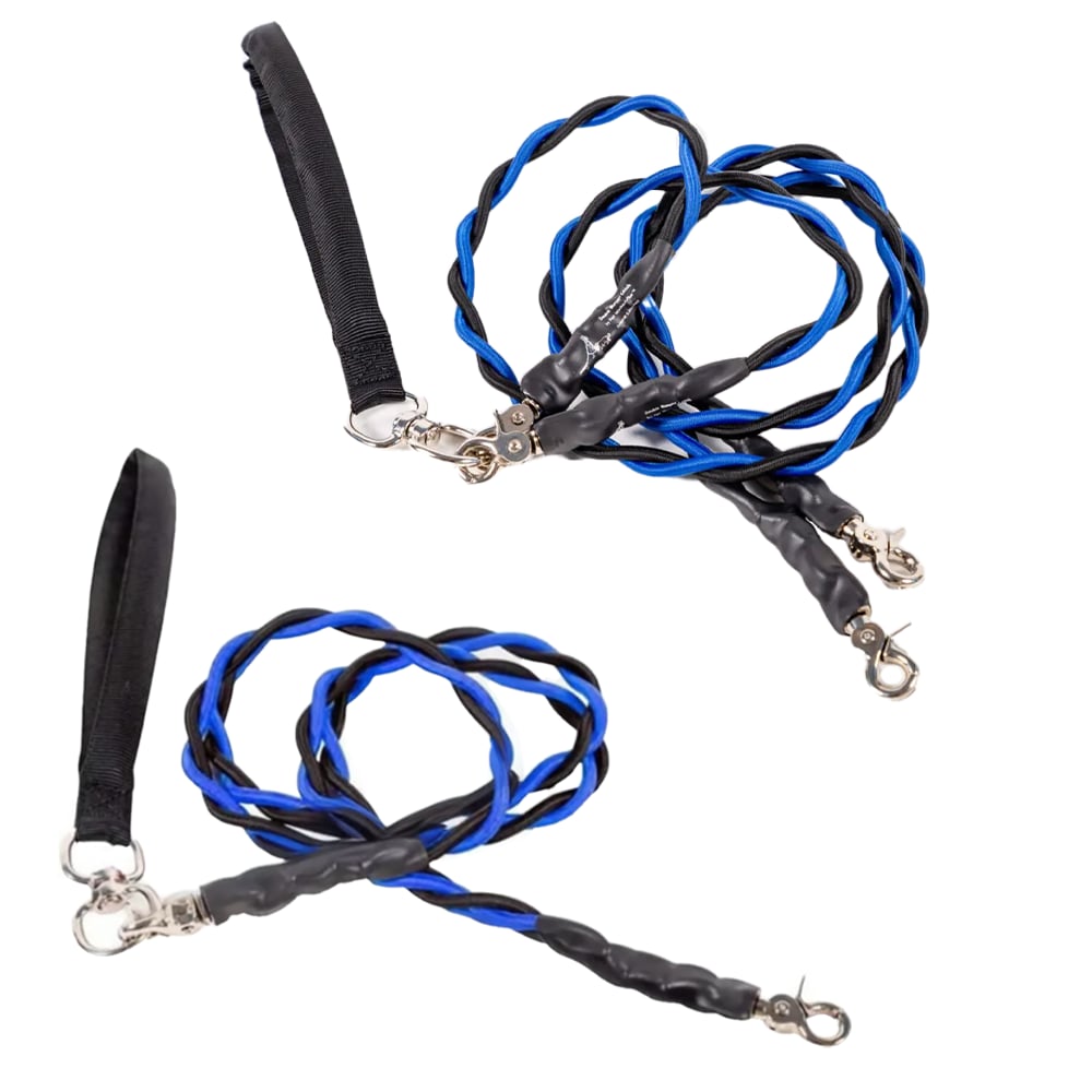 🔥🐕Double Bungee Leash - 1st step training tool