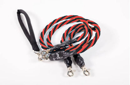 🔥🐕Double Bungee Leash - 1st step training tool