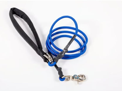 🔥🐕Double Bungee Leash - 1st step training tool