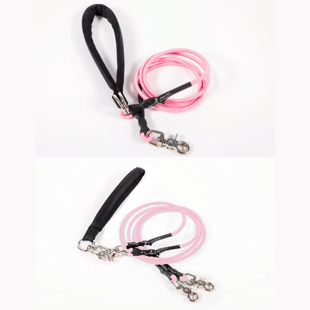 🔥🐕Double Bungee Leash - 1st step training tool