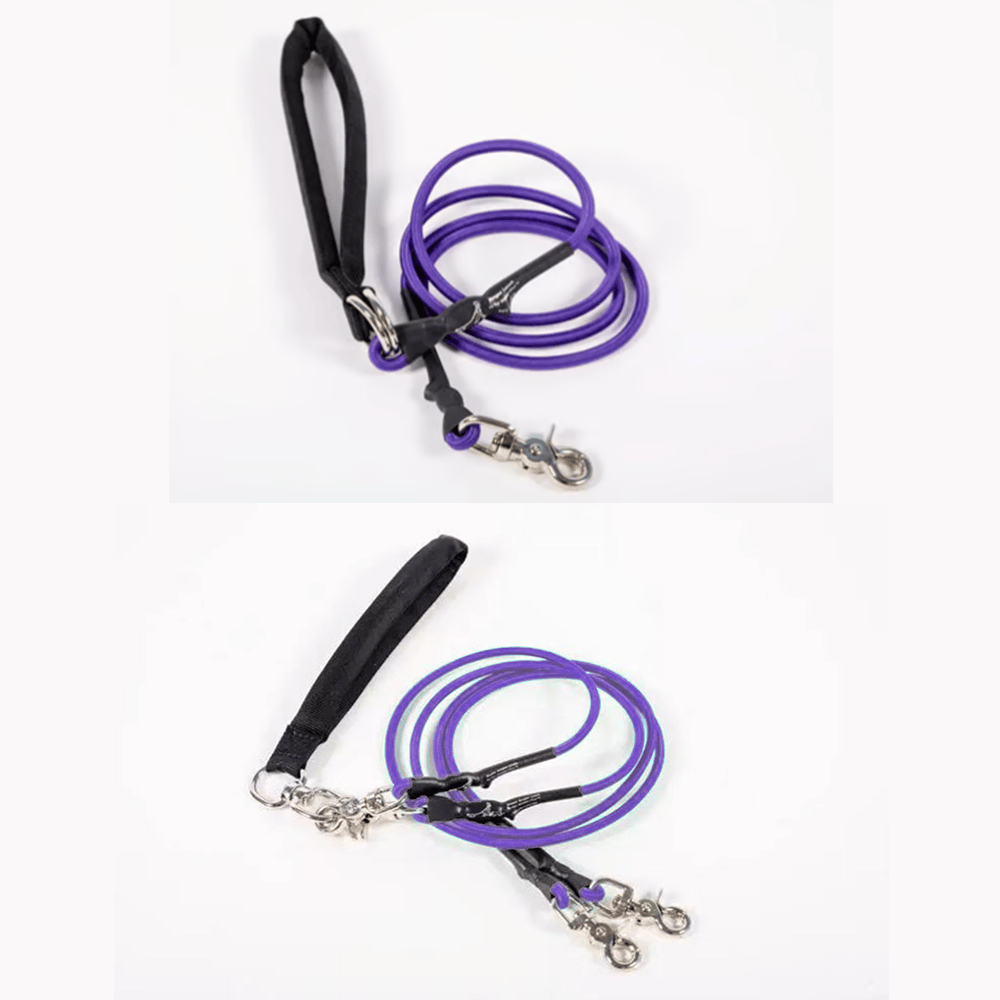 🔥🐕Double Bungee Leash - 1st step training tool