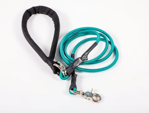 🔥🐕Double Bungee Leash - 1st step training tool