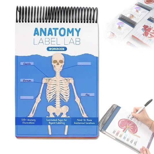 🎁Last Day 50%OFF🔥Anatomy Label Workbook
