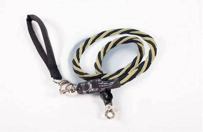 🔥🐕Double Bungee Leash - 1st step training tool